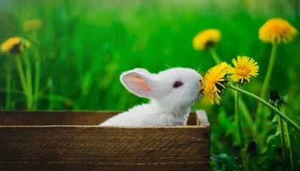 fb体育登录入口-全国速度滑冰锦标赛纪录频频刷新，2020-2021赛季全国速度滑冰冠军赛