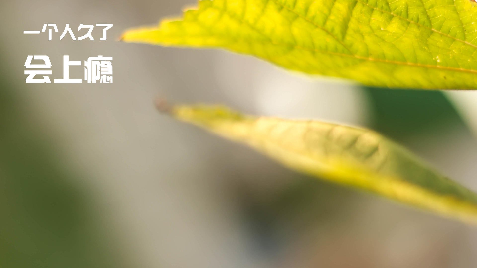 fb体育登录入口-积分榜分析：哪些球队战斗力逐步提升，值得期待？，球队积分排名