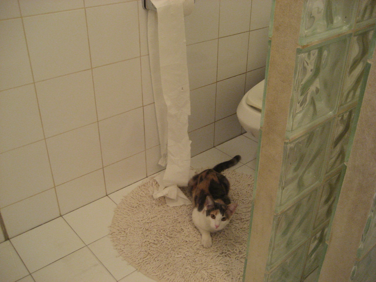 fb体育-亚洲篮球冠军杯季后赛，强队实力碾压对手，亚洲篮球冠军杯季后赛,强队实力碾压对手是谁