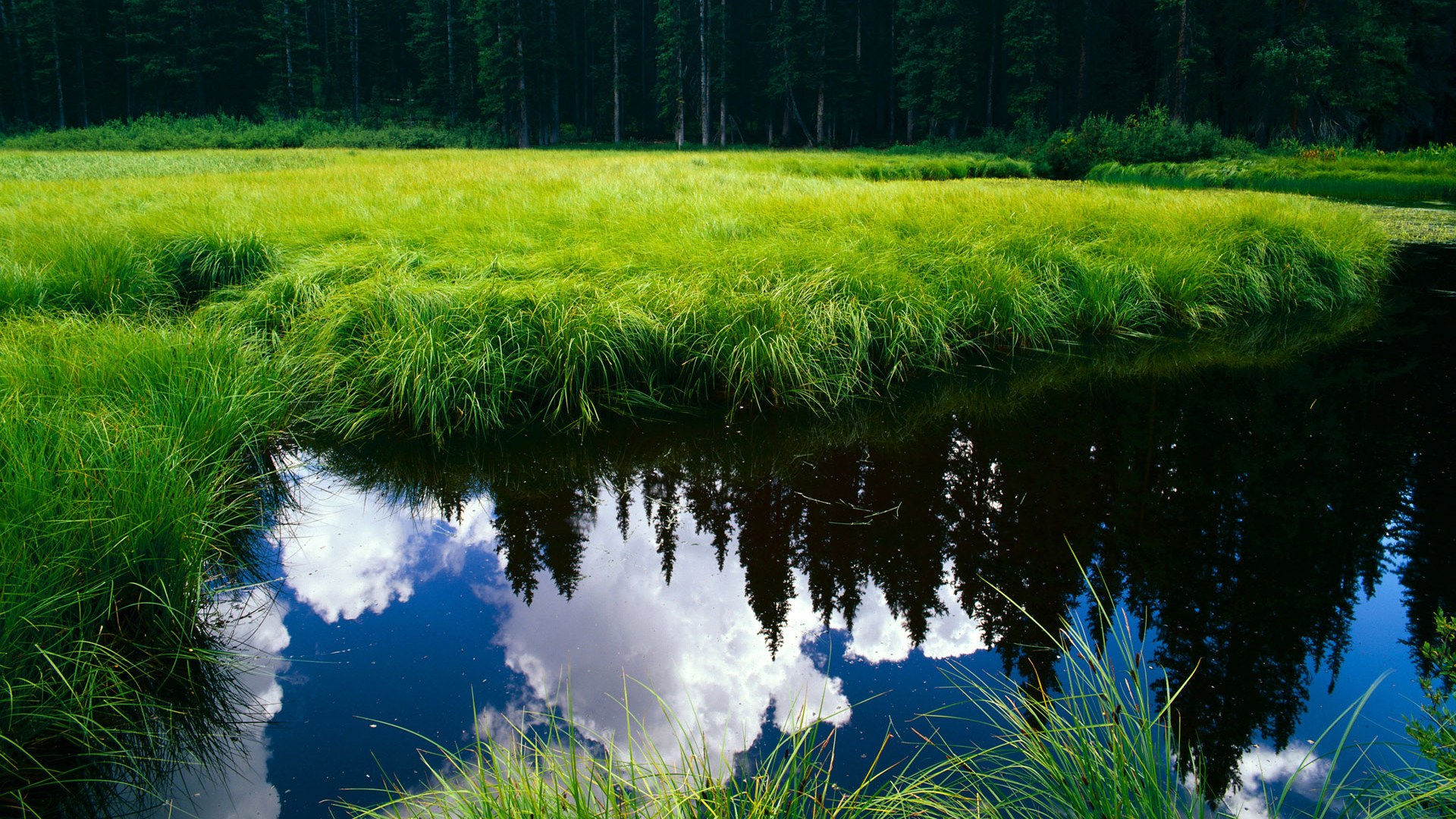 fb体育平台-大连一方战平泰州，积分榜呈现悬念竞争局面