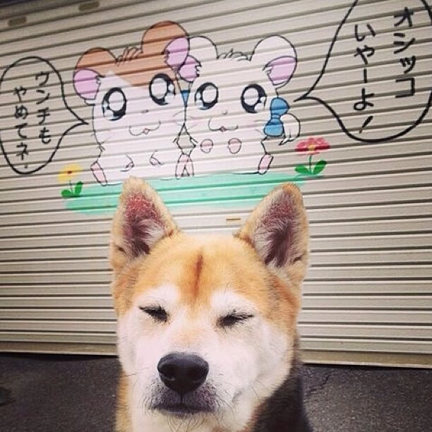 fb体育官网首页-时刻悬念：广州篮球队挥汗奋斗胜出，广州篮球队员名单 最新