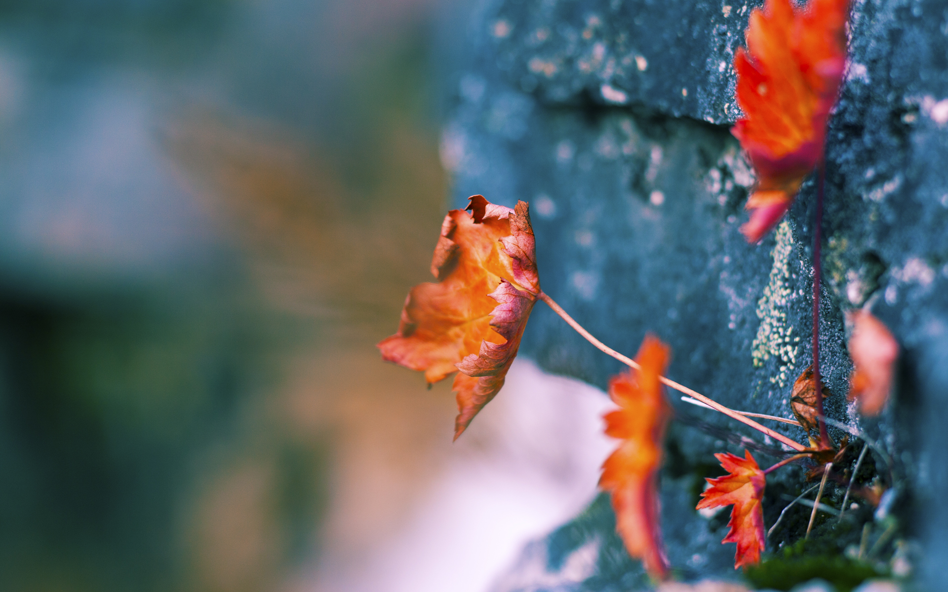 fb体育登录入口-法国以惊人比分大胜芬兰，奠定晋级之路，法国和芬兰的比赛