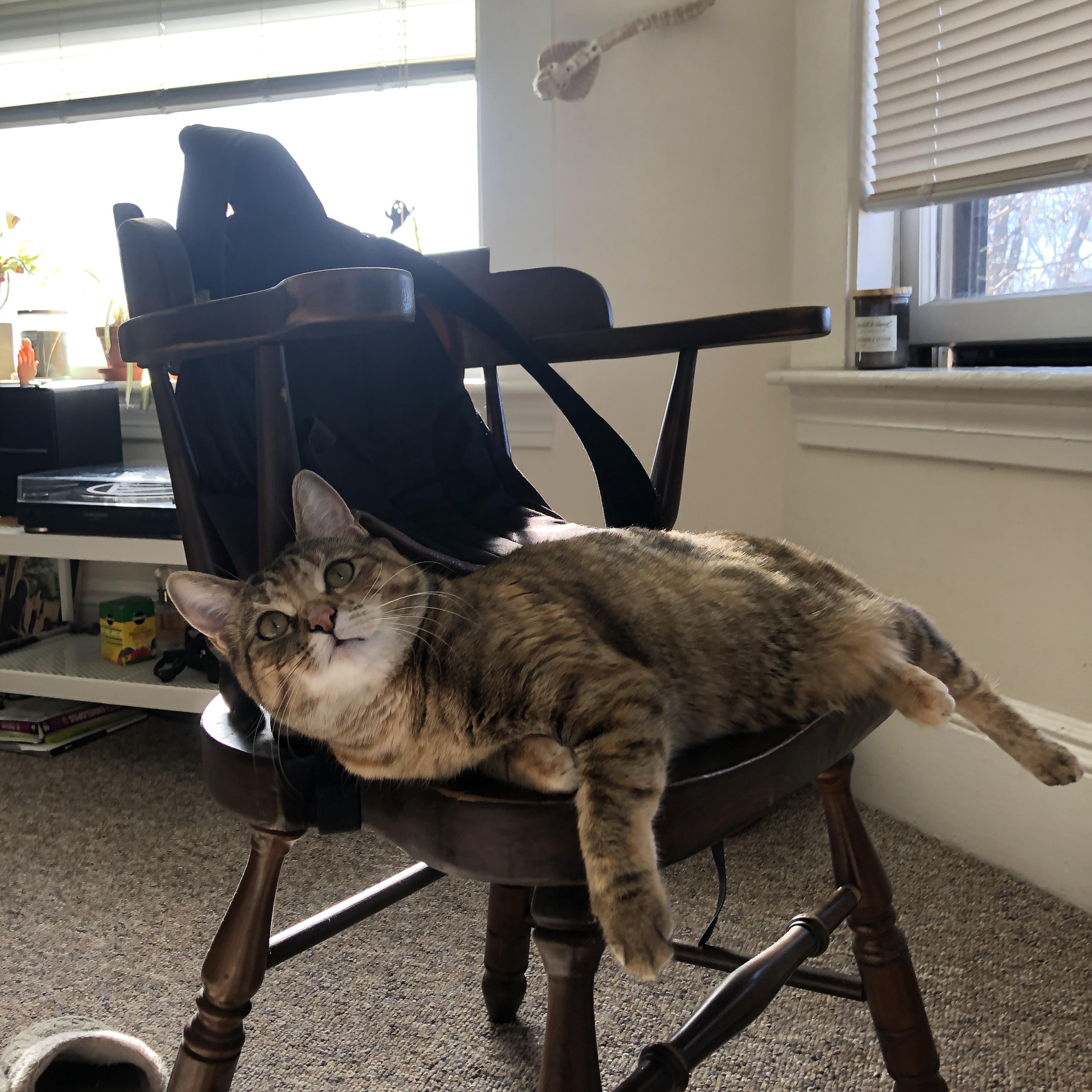 FB体育下载-焦点体操女团整体表现评价，焦点舞蹈艺术中心怎么样