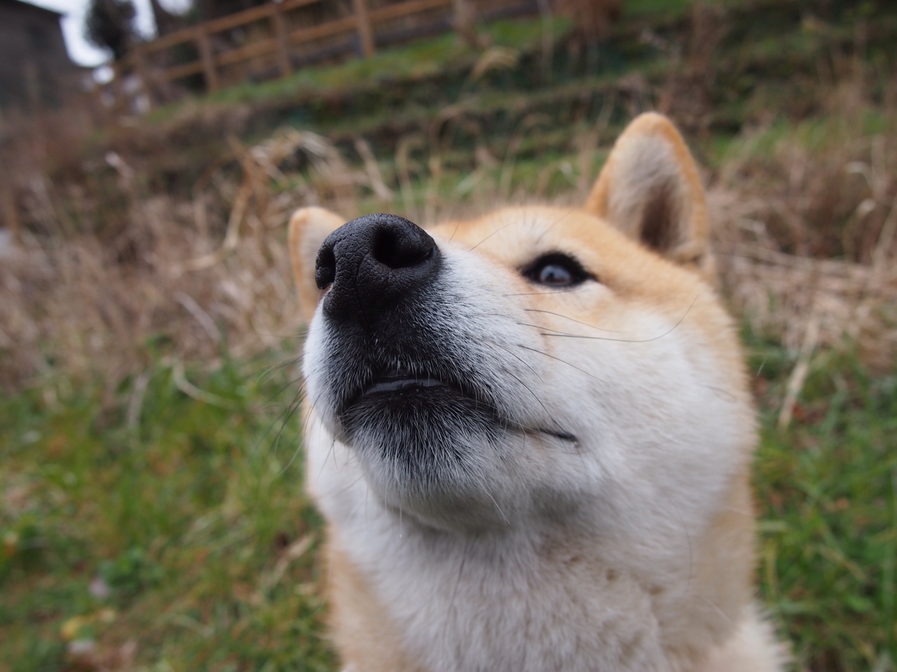 FB体育在线-电竞游戏公平竞技环境建设及技术手段应用探讨，电竞公平原则