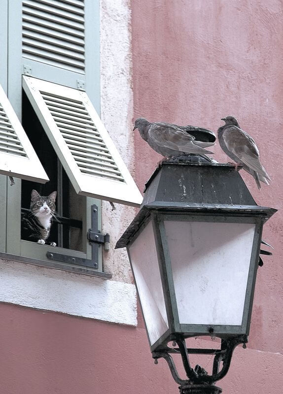 FB真人电子游戏-电竞游戏内反作弊技术，电竞游戏内反作弊技术怎么用