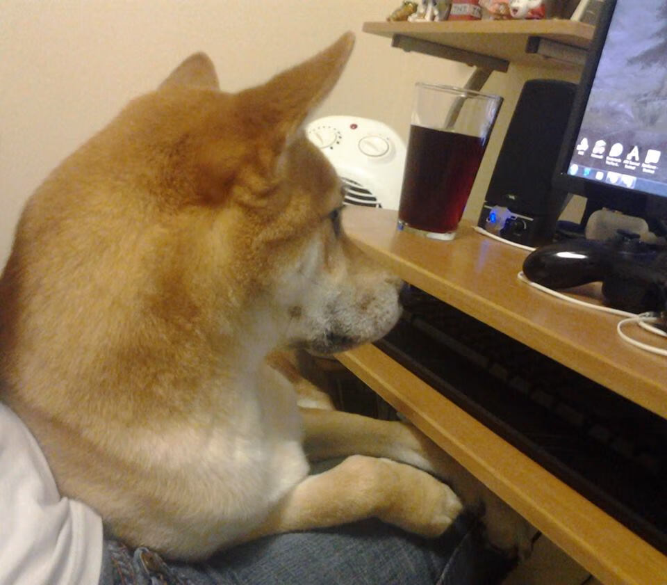 fb体育官网-詹姆斯得分里程碑达成湖人完胜，詹姆斯湖人生涯总得分