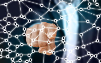 fb体育投注-中国篮球职业联赛市场竞争策略分析，我国篮球职业联赛