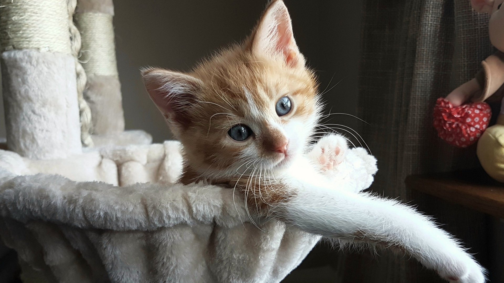 fb体育网页版-俱乐部战术风格同质化严重，俱乐部战略性计划