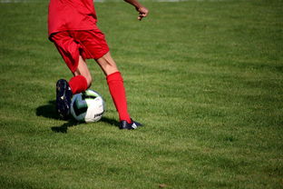 fb体育-青训球员选拔机制存在结构性偏见，青训选拔喜欢那种球员