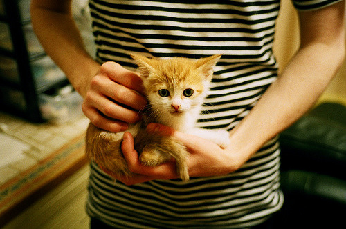 fb体育电脑版-赛尔·阿尔斯塔：从队长到英雄，南非防线的坚实依靠，阿尔塞斯最后的结局